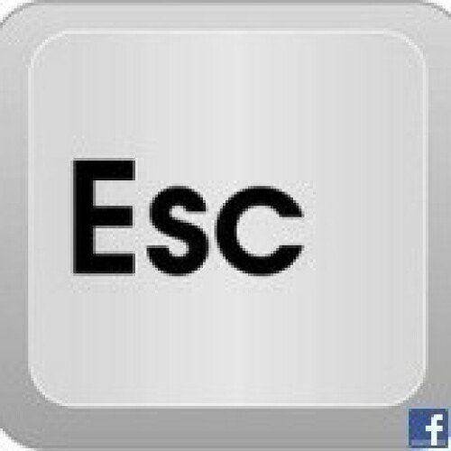 4b87e2c08e287ad93db28af9.jpg