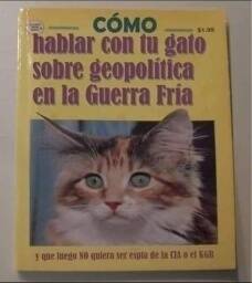 FB_IMG_1678466537247