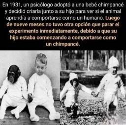 FB_IMG_1680926930588